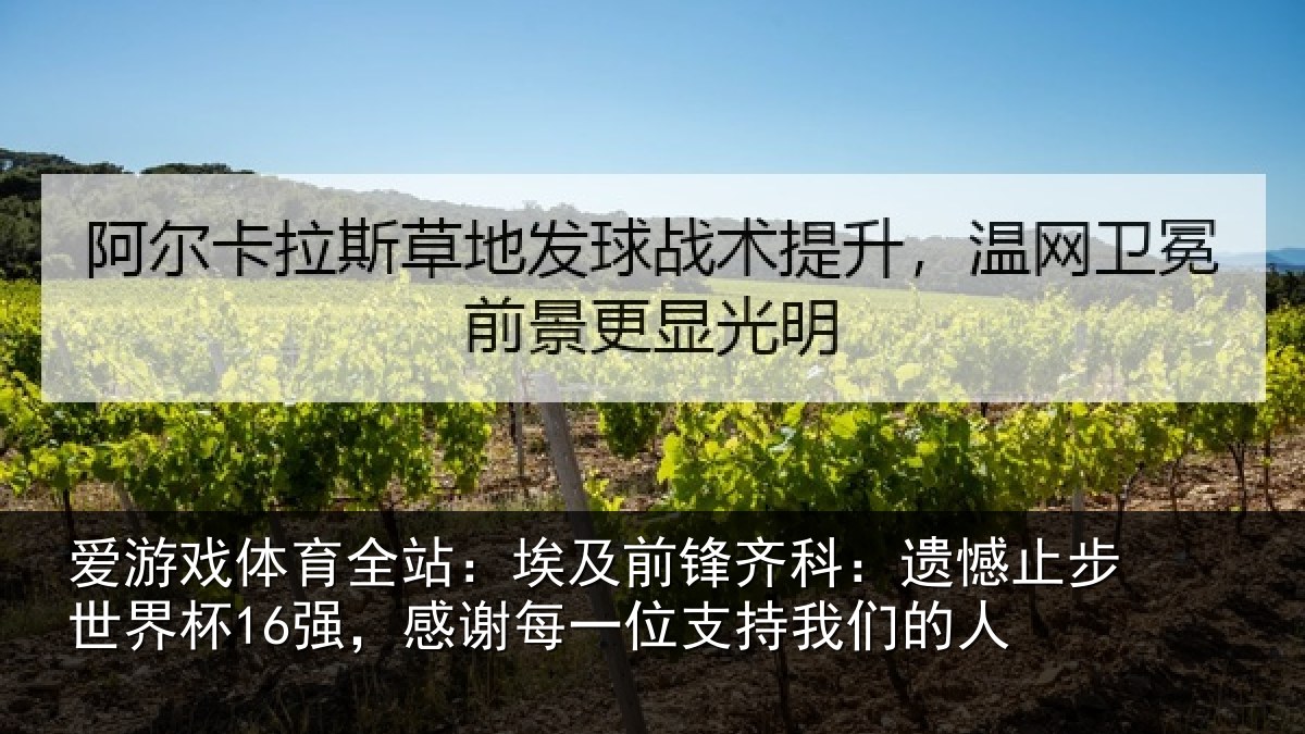 爱游戏体育全站:埃及相关情况世界相关情况持我们的人